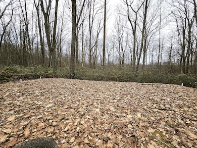Illinois Ln Tract (25)