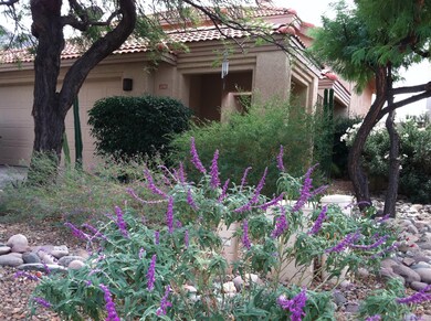 Front in bloom