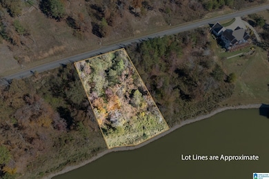 0 Willow Dr unit 21436835, Lincoln, AL 35096 - photo 3