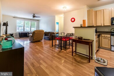 42420 Hollyhock Terrace unit 102, Ashburn, VA 20148 - photo 6