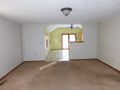 707 E Michigan Ave, Marshall, MI 49068 - photo 3