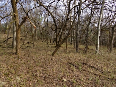 958 Dollar Hollow Rd, Pulaski, TN 38478 - photo 2