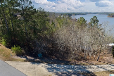 0 Aqua Dr unit 37 21377015, Wedowee, AL 36278 - photo 6