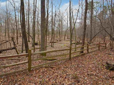 10810 Raleigh Lagrange Rd E, Eads, TN 38028 - photo 2