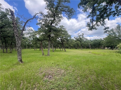 Lot 570 Deer Ledge Dr, Beaver Creek, TX 77836 - photo 6