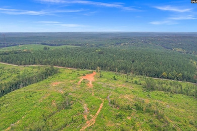 0000 S Carolina 215 unit 8, Jenkinsville, SC 29065 - photo 2