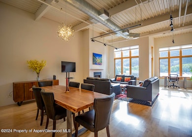 231 Robinson St unit R330, Basalt, CO 81621 - photo 7