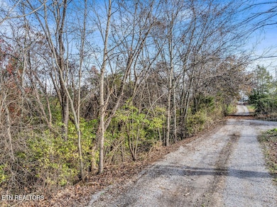 4125 Gravelly Hills Rd, Louisville, TN 37777 - photo 7