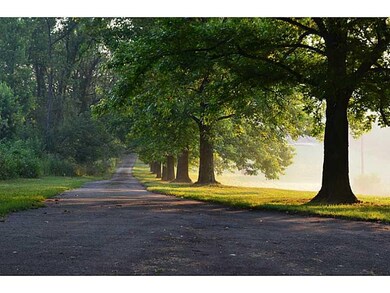 Other. Private drive lined with trees.. Just so be