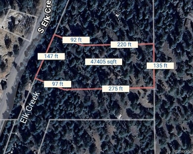 00000 S Elk Creek Rd, Pine, CO 80470 - photo 7