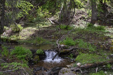 Merit Creek