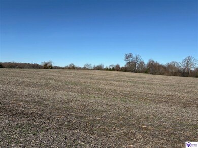 245 Owl Creek Dr, Vine Grove, KY 40175 - photo 6