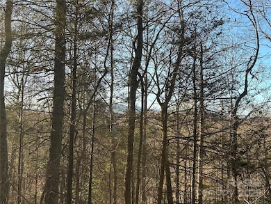 2830 Nix Creek Rd, Marion, NC 28752 - photo 7