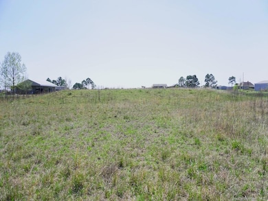 387 Parish Line Rd, Lake Charles, LA 70607 - photo 3