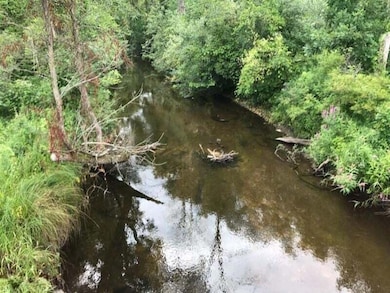 14551 Algoma Ave NE, Cedar Springs, MI 49319 - photo 5