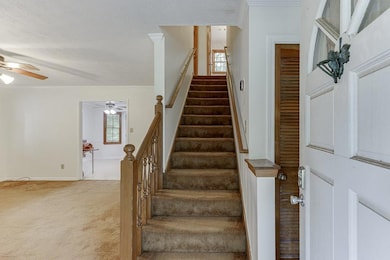 Stairway with ceiling fan, ornamental molding, healthy amount of natural light, carpet floors, and baseboards