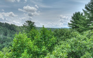 Additional View