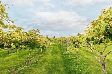 31506 Pioneer Trail, Treynor, IA 51575 - photo 4