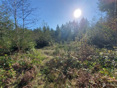 36602 Stackpole Rd, Oysterville, WA 98641 - photo 5