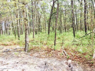 0000 Mckinley Ave, Bayville, NJ 08721 - photo 3