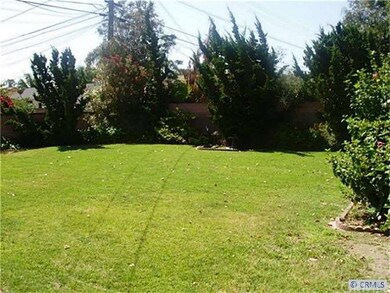 Backyard 1