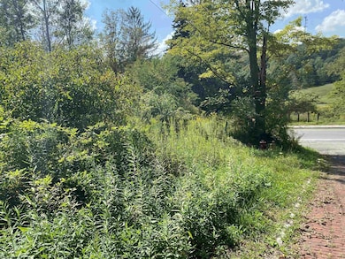 1st and Spruce Street Corner, Thomas, WV 26292 - photo 6