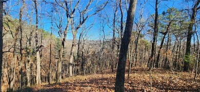 561 Parable Ct, Ranger, GA 30734 - photo 3