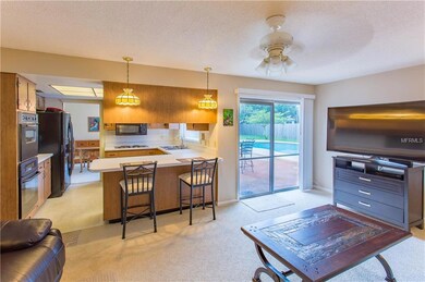 Kitchen-Family Room Combo