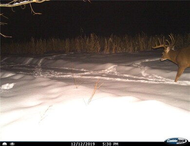 0 Ormsby Rd, Deerbrook, WI 54424 - photo 3