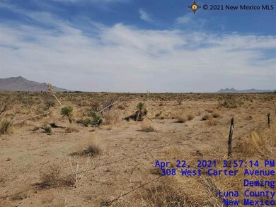 00 Delphine Rd SW, Deming, NM 88030 - photo 3