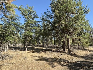 0 Hope Grove unit 430872245, Goldendale, WA 98620 - photo 2