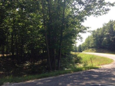 0 Smith Rd unit 14045826, Onekama, MI 49675 - photo 7