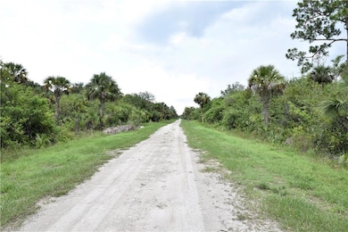 0 36th Ave SE unit 225081357, Naples, FL 34117 - photo 4