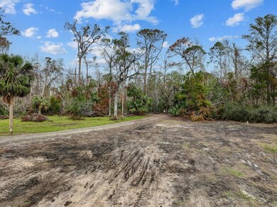 409 6th St E, Steinhatchee, FL 32359 - photo 5