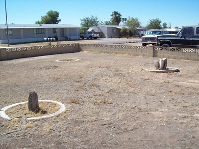 Big fenced yard