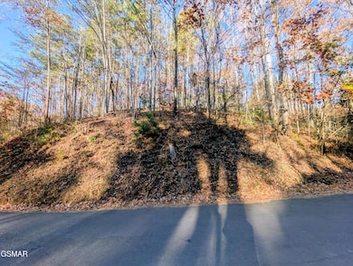 Lot 483 School House Gap Rd, Sevierville, TN 37876 - photo 3