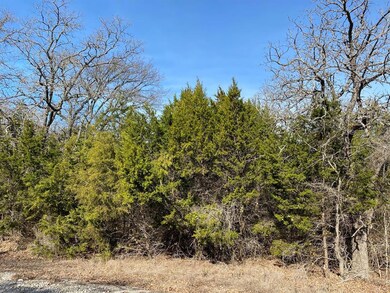 18042 Southhill Dr, Whitney, TX 76692 - photo 2