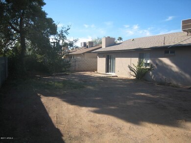 Back yard