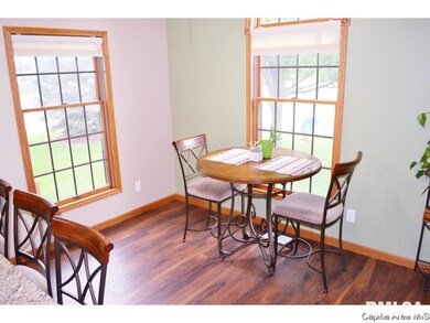 140 S Cedar Dr, Virginia, IL 62691 - photo 7