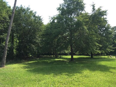 1944 Deep Creek Run, Wilmington, NC 28411 - photo 3