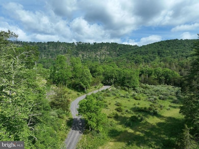 686.10 ACRES Thorn Bottom Rd, Wardensville, WV 26851 - photo 4