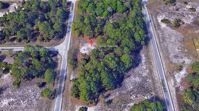 1239 Gennaio St E, Lehigh Acres, FL 33974 - photo 4