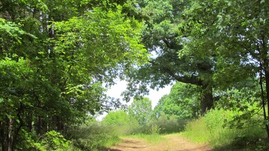 IMG_9859