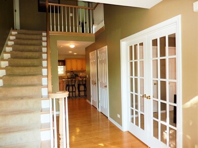 4343 Dairymans Cir, Naperville, IL 60564 - photo 2