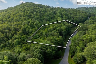 TBD Lot 106 Firethorn Trail, Blowing Rock, NC 28605 - photo 6