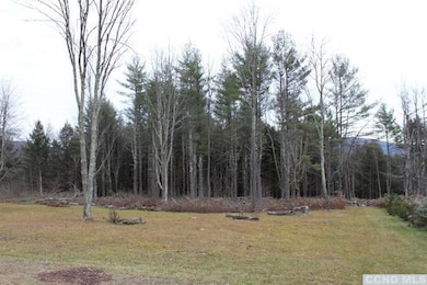 0 Homestead Ln unit 155406, Windham, NY 12496 - photo 6