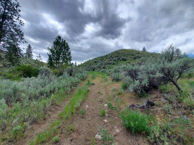 570X Tunk Creek Rd, Riverside, WA 98849 - photo 7