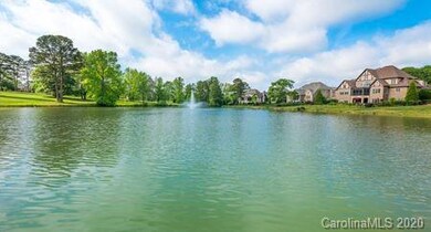 10032 Strike the Gold Ln unit 195, Waxhaw, NC 28173 - photo 4