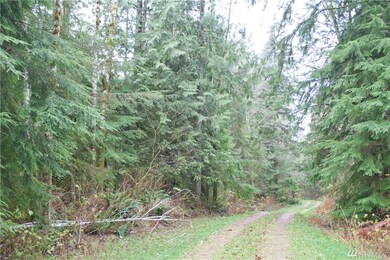 27418 E Lake Riley Rd, Arlington, WA 98223 - photo 5