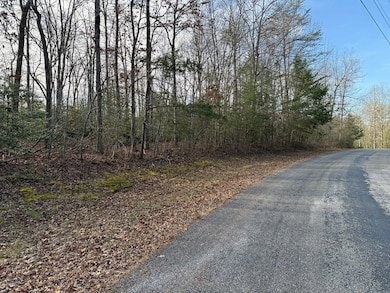 Lot 8 Walker Hollow Dr, Monterey, TN 38574 - photo 6